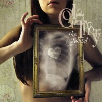 Color Theory - The Sound (2010)
