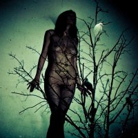 The Atlas Moth - An Ache For The Distance (2011)