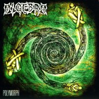 Algebra - Polymorph (Reissued 2013) (2012)