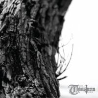 This Is Turin - Cercis (2015)