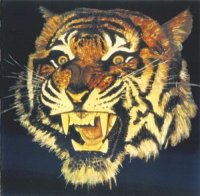Tiger - Tiger (1976)  Lossless