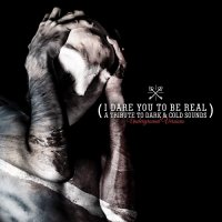 VA - I Dare You To Be Real - A Tribute to Dark & Cold Sounds (2016)