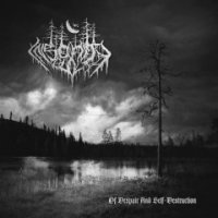 Insanity Cult - Of Despair And Self​-​Destruction (2017)