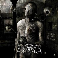 Zonaria - Infamy And The Breed (2007)