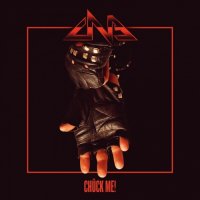 Chuck Norris Experiment - Chück Me (2017)