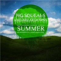 Pig Squeals And Breakdowns - Summer (2014)