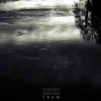 Desiderii Marginis - Thaw (2014)
