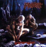 Barbarity - Grotesque Contradiction (2008)