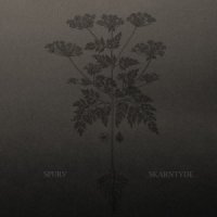 Spurv - Skarntyde (2015)
