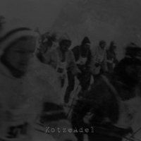 Animo Aeger - KotzeAdel (2016)