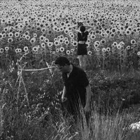 Jesu & Sun Kil Moon - Jesu / Sun Kil Moon (2016)