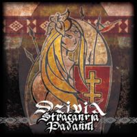 Dzivia - Stračanyja Padańni (2012)