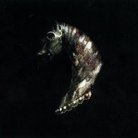Black Math Horseman - Wyllt (2009)