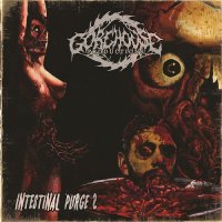VA - Intestinal Purge 2 (Summer Sampler 2015) (2015)