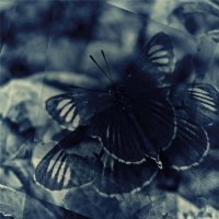 Eco In The Light - Disonante (2017)