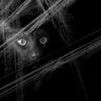 Luminance - The Light Is Ours (2014)