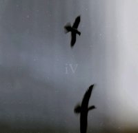 IV - The Look Of Silence (2016)