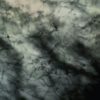 Keluar - Keluar (2014)
