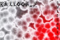 Raccoon_7 - Substance (2011)