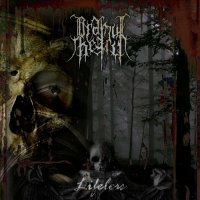 Ordinul Negru - Lifeless (2008)