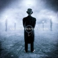 Another Perfect Storm - Another Perfect Storm (2015)