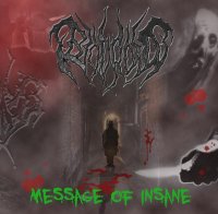 Biodroid - Message Of Insane (2009)