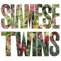 Siamese Twins - Still Corner (2014)