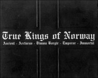Dimmu Borgir & Immortal & Emperor & Ancient & Arcturus - True Kings Of Norway (2000)