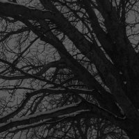 Shoulder Of Orion - Winterstar (2012)
