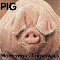 PIG - Momentous Lamentous (2013)