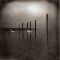 Om - Conference Of The Birds (2006)