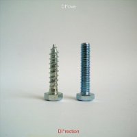 DI*ove - DI*rection (2012)