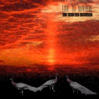 Link To Nowhere - All Birds Are Dinosaurs (2012)