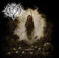Naglfar - Harvest (2007)  Lossless