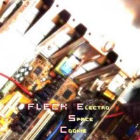 Fleck ESC - Electro Space coоkie (2011)