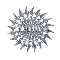 In Tenebriz - Everfrost Symphony (2006)