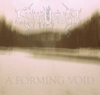 Enthauptung - A Forming Void (2014)