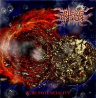 Blaze Inside - Pure Potenciality (2008)