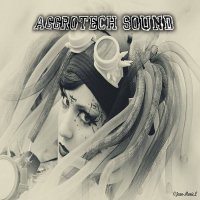 VA - Aggrotech Sound (2017)