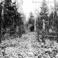 Harold Torsen - Пока ты спишь (2013)