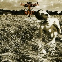 Noyce TM - Dee Chai Coma (2006)