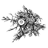 Sedna - Sublime End (2012)