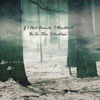 Dreaming Of A Day - If I Had Friends, I Wouldn\'t Be In This Situation (2017)