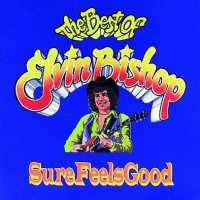 Elvin Bishop - Sure Feels Good: The Best of Elvin Bishop (1992)