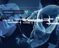 Contagion - Infectant (2000)