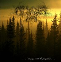 From The Sunset, Forest And Grief - ...Cold, Empty & Forgotten... (2009)