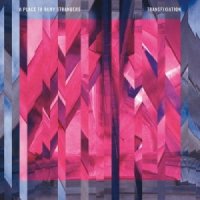 A Place to Bury Strangers - Transfixiation (2015)