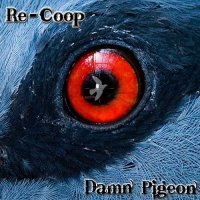 Damn Pigeon - Re-Coop (2014)