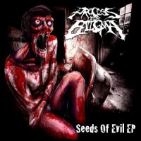 Process For Enigma - Seeds Of Evil (2010)