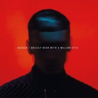 Baasch - Grizzly Bear With A Million Eyes (2017)